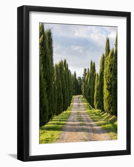 Italy, Tuscany, Long Driveway lined with Cypress trees-Terry Eggers-Framed Photographic Print