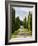 Italy, Tuscany, Long Driveway lined with Cypress trees-Terry Eggers-Framed Photographic Print