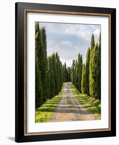 Italy, Tuscany, Long Driveway lined with Cypress trees-Terry Eggers-Framed Photographic Print