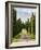 Italy, Tuscany, Long Driveway lined with Cypress trees-Terry Eggers-Framed Photographic Print