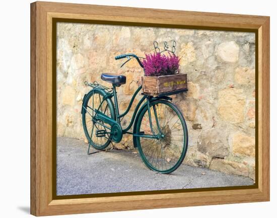 Italy, Tuscany, Monticchiello. Bicycle with bright pink heather in the basket.-Julie Eggers-Framed Premier Image Canvas