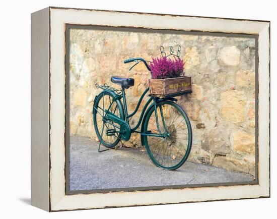 Italy, Tuscany, Monticchiello. Bicycle with bright pink heather in the basket.-Julie Eggers-Framed Premier Image Canvas