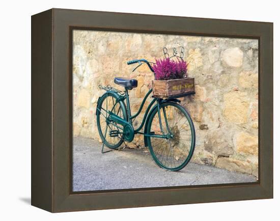 Italy, Tuscany, Monticchiello. Bicycle with bright pink heather in the basket.-Julie Eggers-Framed Premier Image Canvas