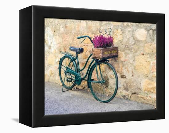 Italy, Tuscany, Monticchiello. Bicycle with bright pink heather in the basket.-Julie Eggers-Framed Premier Image Canvas