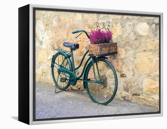 Italy, Tuscany, Monticchiello. Bicycle with bright pink heather in the basket.-Julie Eggers-Framed Premier Image Canvas