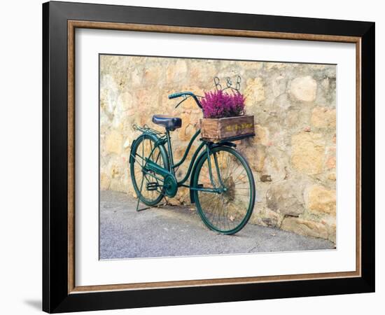 Italy, Tuscany, Monticchiello. Bicycle with bright pink heather in the basket.-Julie Eggers-Framed Photographic Print