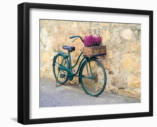 Italy, Tuscany, Monticchiello. Bicycle with bright pink heather in the basket.-Julie Eggers-Framed Photographic Print