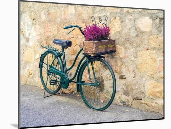 Italy, Tuscany, Monticchiello. Bicycle with bright pink heather in the basket.-Julie Eggers-Mounted Photographic Print