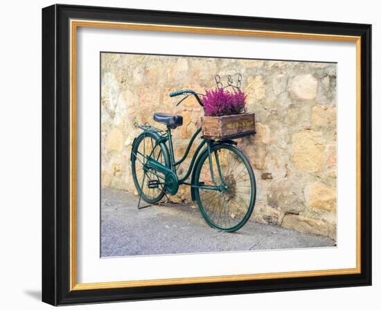 Italy, Tuscany, Monticchiello. Bicycle with bright pink heather in the basket.-Julie Eggers-Framed Photographic Print