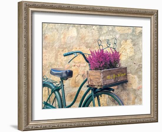 Italy, Tuscany, Monticchiello. Bicycle with bright pink heather in the basket.-Julie Eggers-Framed Photographic Print