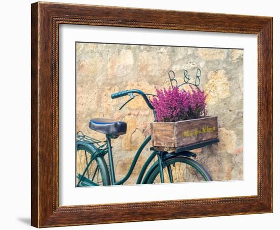 Italy, Tuscany, Monticchiello. Bicycle with bright pink heather in the basket.-Julie Eggers-Framed Photographic Print