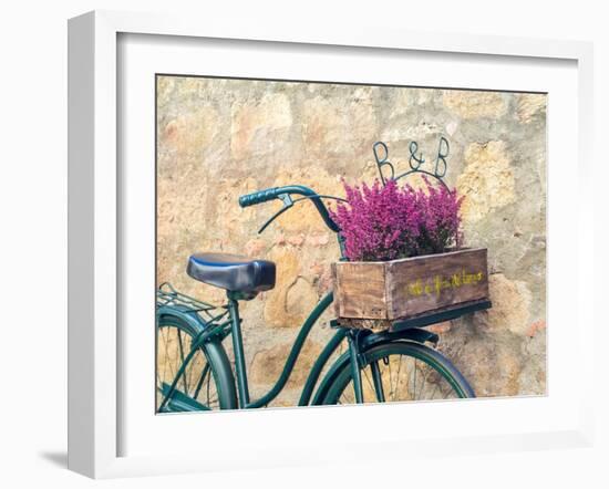 Italy, Tuscany, Monticchiello. Bicycle with bright pink heather in the basket.-Julie Eggers-Framed Photographic Print