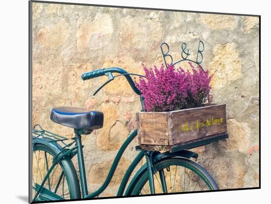 Italy, Tuscany, Monticchiello. Bicycle with bright pink heather in the basket.-Julie Eggers-Mounted Photographic Print
