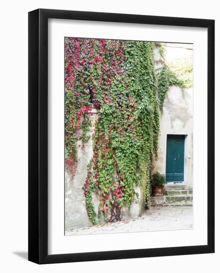 Italy, Tuscany, Monticchiello. Red Ivy Covering the Walls of Buildings-Julie Eggers-Framed Photographic Print