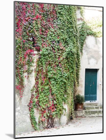 Italy, Tuscany, Monticchiello. Red Ivy Covering the Walls of Buildings-Julie Eggers-Mounted Photographic Print