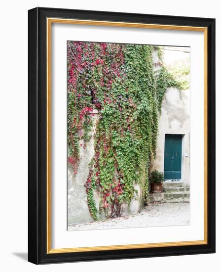 Italy, Tuscany, Monticchiello. Red Ivy Covering the Walls of Buildings-Julie Eggers-Framed Photographic Print