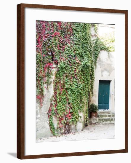 Italy, Tuscany, Monticchiello. Red Ivy Covering the Walls of Buildings-Julie Eggers-Framed Photographic Print