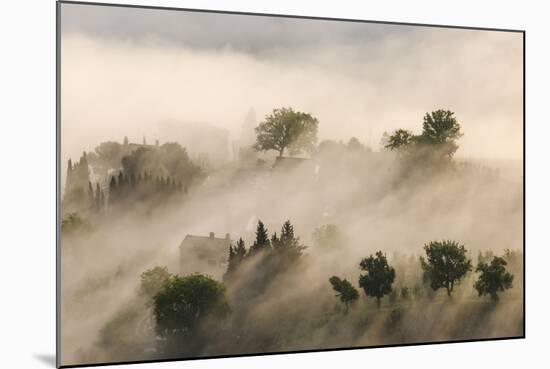 Italy, Tuscany. Morning Fog Drifting over Vineyards with Sun Breaking Through-Brenda Tharp-Mounted Photographic Print