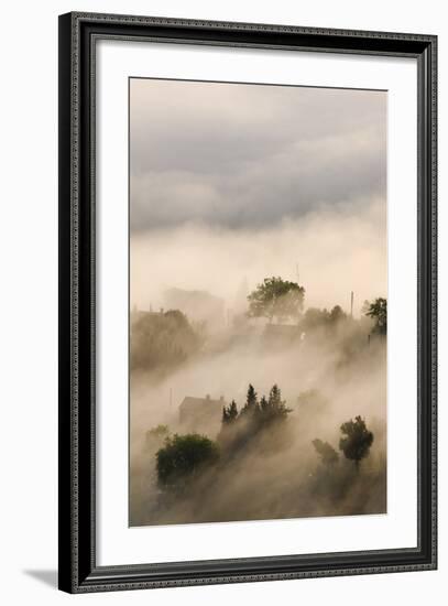 Italy, Tuscany. Morning Fog Drifting over Vineyards with Sun Breaking Through-Brenda Tharp-Framed Photographic Print