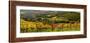 Italy, Tuscany. Panoramic view of a colorful vineyard in the Tuscan landscape.-Julie Eggers-Framed Photographic Print