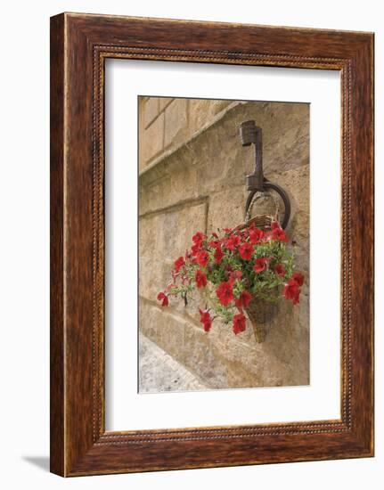 Italy, Tuscany, Pienza. Colorful Petunias Spill from a Basket on a Stone Wall-Brenda Tharp-Framed Photographic Print