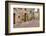 Italy, Tuscany, Pienza. Flower pots and potted plants decorate a narrow street in a Tuscany-Julie Eggers-Framed Photographic Print