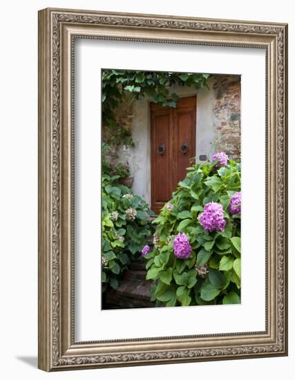 Italy, Tuscany, Pienza. Hydrangeas at the entrance of a home in the streets of Pienza.-Julie Eggers-Framed Photographic Print