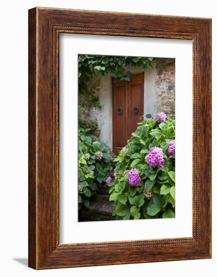 Italy, Tuscany, Pienza. Hydrangeas at the entrance of a home in the streets of Pienza.-Julie Eggers-Framed Photographic Print