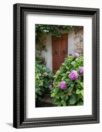 Italy, Tuscany, Pienza. Hydrangeas at the entrance of a home in the streets of Pienza.-Julie Eggers-Framed Photographic Print