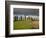 Italy, Tuscany, Pienza. Tuscan Farmhouse with Stormy Clouds-Julie Eggers-Framed Photographic Print