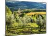 Italy, Tuscany, Pieve di Santa Maria Novella, Radda in Chianti-Terry Eggers-Mounted Photographic Print
