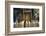 Italy, Tuscany, Pisa, Piazza Dei Miracoli. Inside the Duomo, Electric Candles and Painting-Michele Molinari-Framed Photographic Print