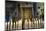 Italy, Tuscany, Pisa, Piazza Dei Miracoli. Inside the Duomo, Electric Candles and Painting-Michele Molinari-Mounted Photographic Print