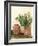 Italy, Tuscany. Planters made from pottery.-Julie Eggers-Framed Photographic Print