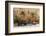 Italy, Tuscany, province of Siena, Chiusure. Hill town. Bicycle leans against stone wall.-Emily Wilson-Framed Photographic Print