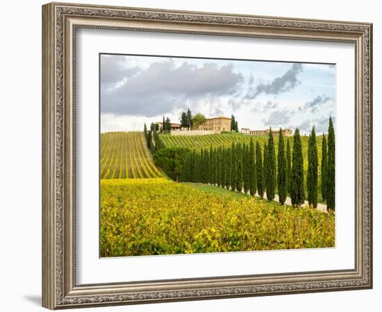 Italy, Tuscany. Road lined with Italian cypress trees leading to a villa.-Julie Eggers-Framed Photographic Print