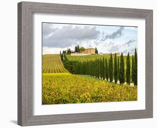 Italy, Tuscany. Road lined with Italian cypress trees leading to a villa.-Julie Eggers-Framed Photographic Print