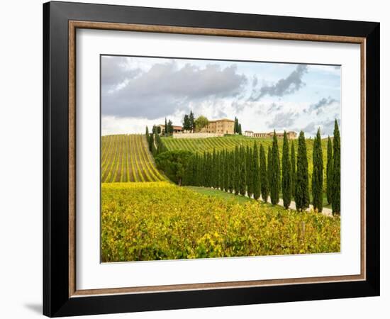 Italy, Tuscany. Road lined with Italian cypress trees leading to a villa.-Julie Eggers-Framed Photographic Print