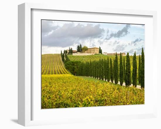 Italy, Tuscany. Road lined with Italian cypress trees leading to a villa.-Julie Eggers-Framed Photographic Print