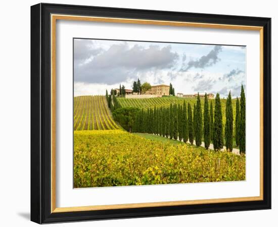 Italy, Tuscany. Road lined with Italian cypress trees leading to a villa.-Julie Eggers-Framed Photographic Print