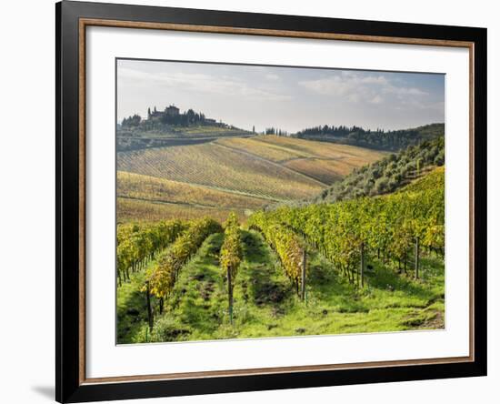 Italy, Tuscany. Rows of Vines and Olive Groves Carpet the Countryside-Julie Eggers-Framed Photographic Print