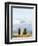 Italy, Tuscany, San Quirico Dorcia. the Vitaleta Chapel-Julie Eggers-Framed Photographic Print