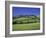 Italy, Tuscany, Siena, Chianciano Terme, Landscape at La Foce-Udo Siebig-Framed Photographic Print