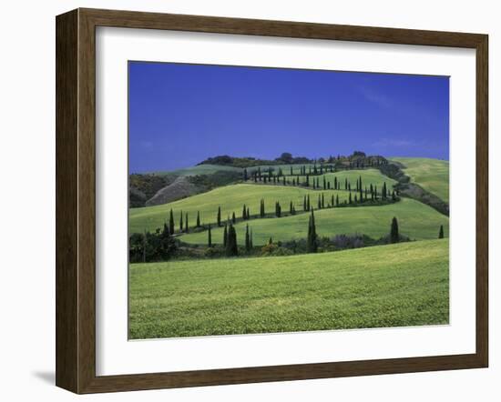 Italy, Tuscany, Siena, Chianciano Terme, Landscape at La Foce-Udo Siebig-Framed Photographic Print