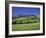 Italy, Tuscany, Siena, Chianciano Terme, Landscape at La Foce-Udo Siebig-Framed Photographic Print