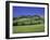 Italy, Tuscany, Siena, Chianciano Terme, Landscape at La Foce-Udo Siebig-Framed Photographic Print