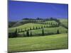 Italy, Tuscany, Siena, Chianciano Terme, Landscape at La Foce-Udo Siebig-Mounted Photographic Print