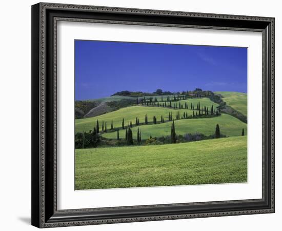 Italy, Tuscany, Siena, Chianciano Terme, Landscape at La Foce-Udo Siebig-Framed Photographic Print