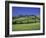 Italy, Tuscany, Siena, Chianciano Terme, Landscape at La Foce-Udo Siebig-Framed Photographic Print