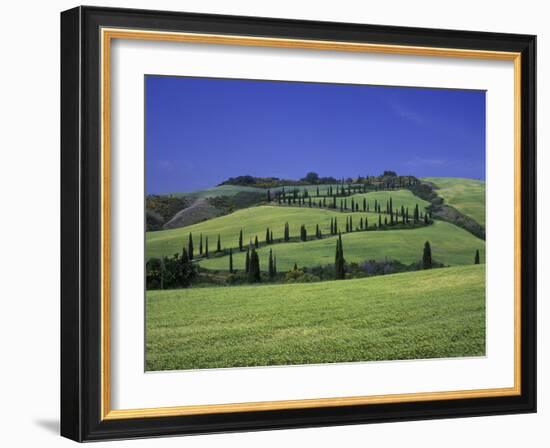 Italy, Tuscany, Siena, Chianciano Terme, Landscape at La Foce-Udo Siebig-Framed Photographic Print